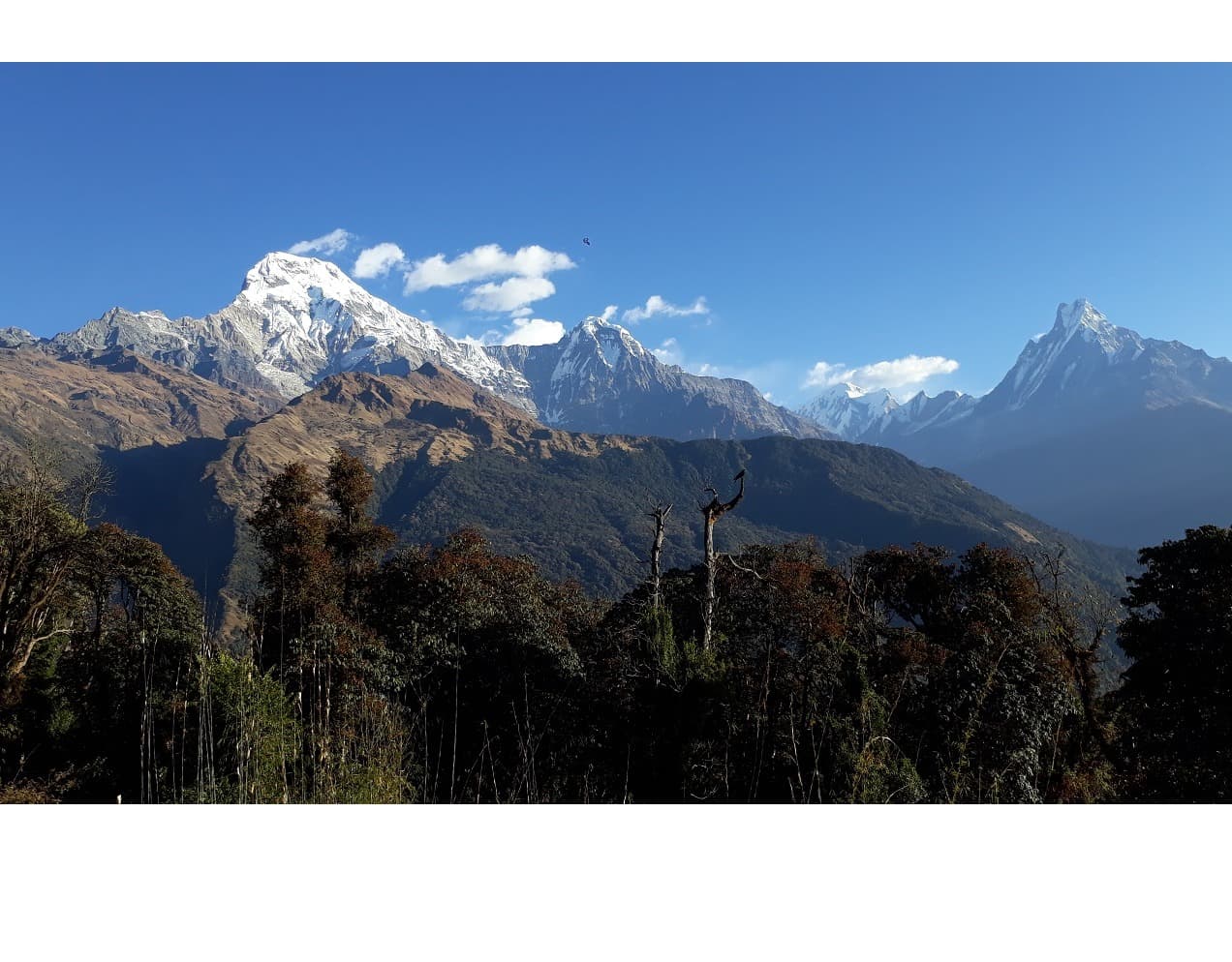 Annapurna Luxury Lodge Trek