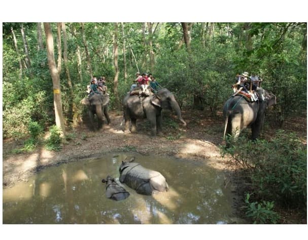Bardiya National Park tour