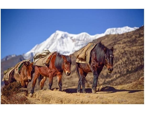 Bhutan Jumolhari Trek