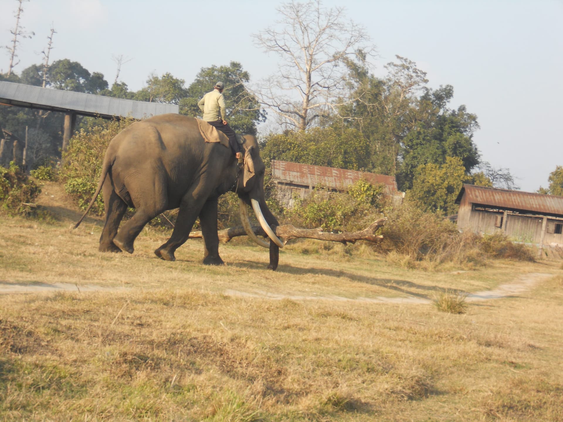 Chitwan touring