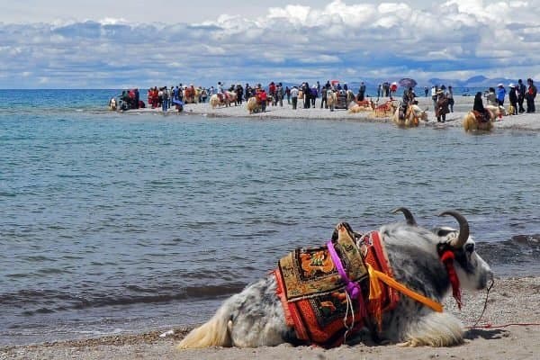 Kailash Mansarovar Tour