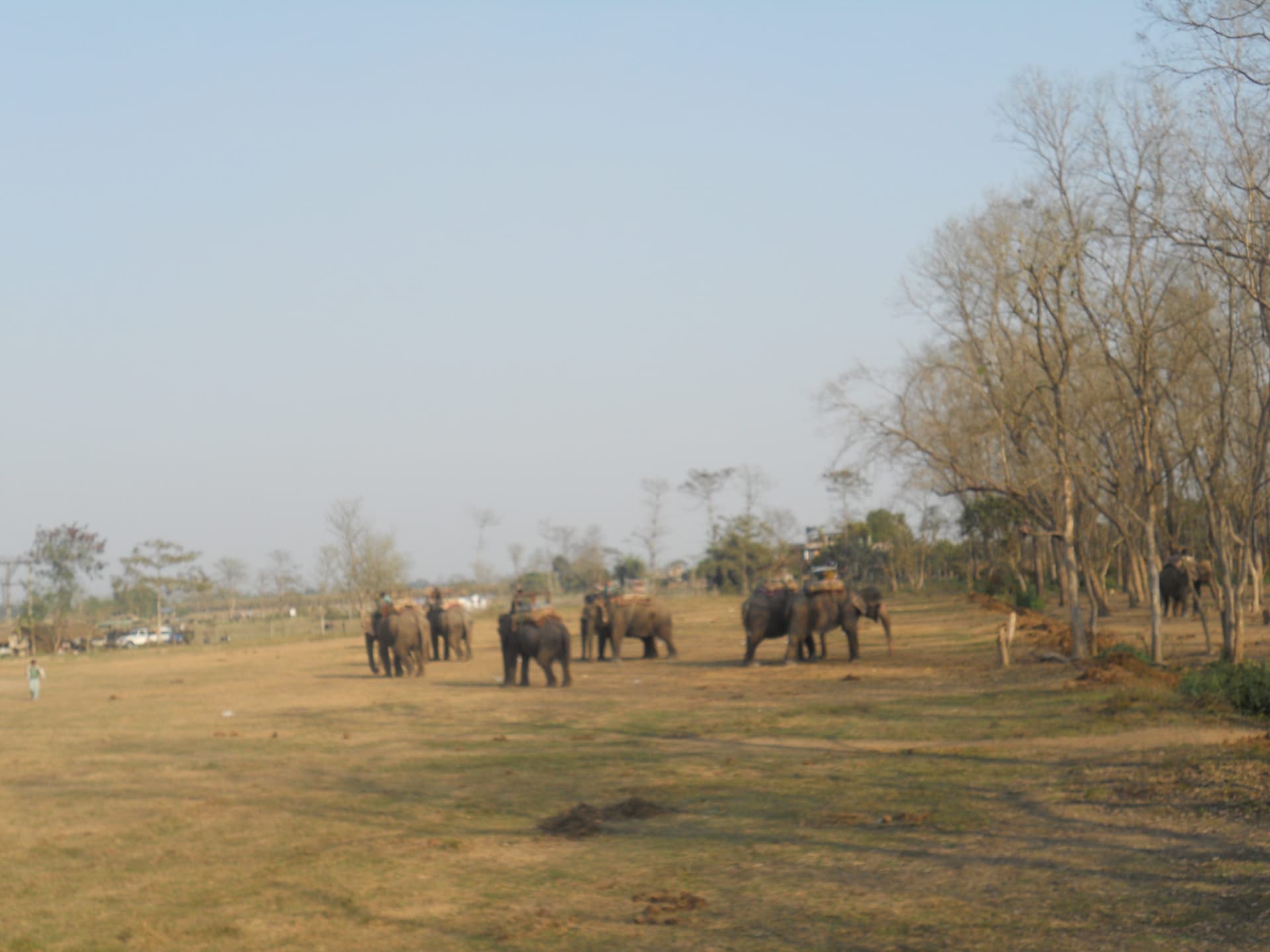 Chitwan tour