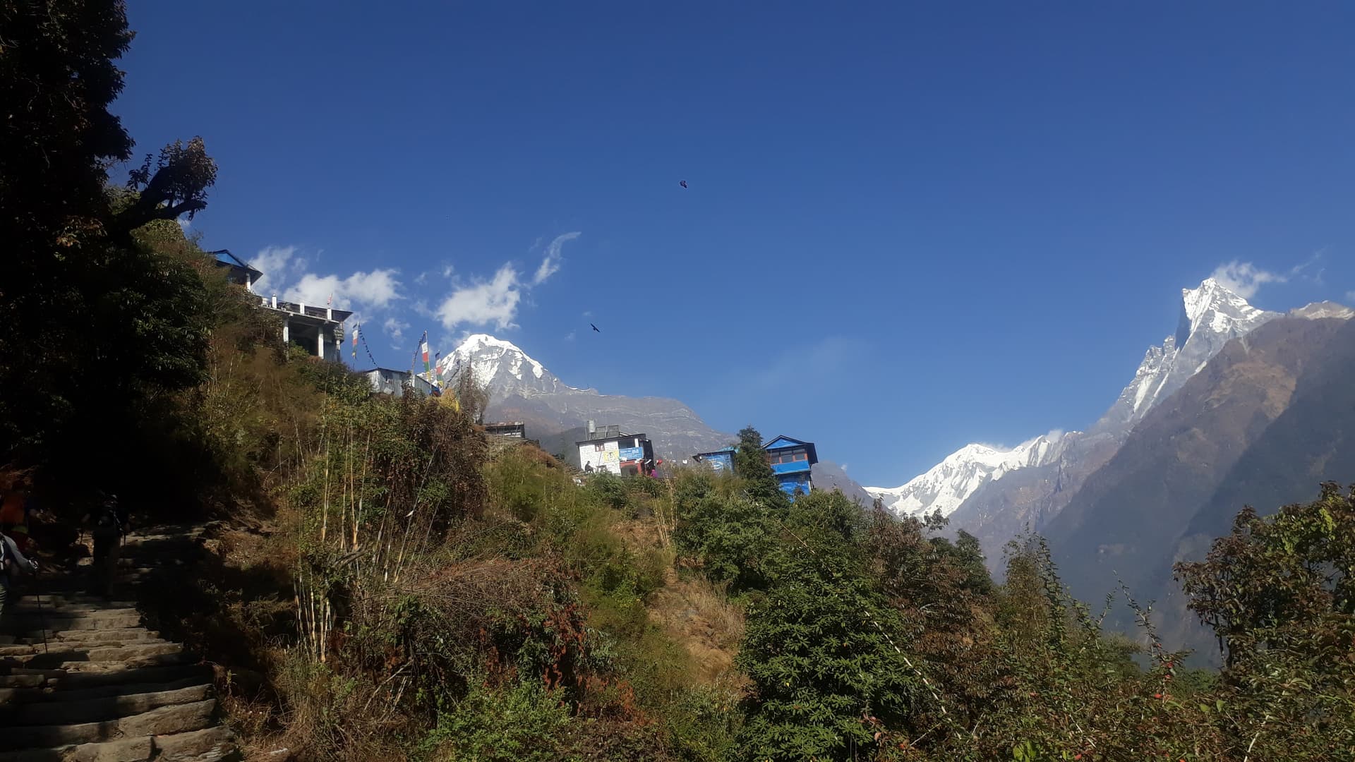Sinwa