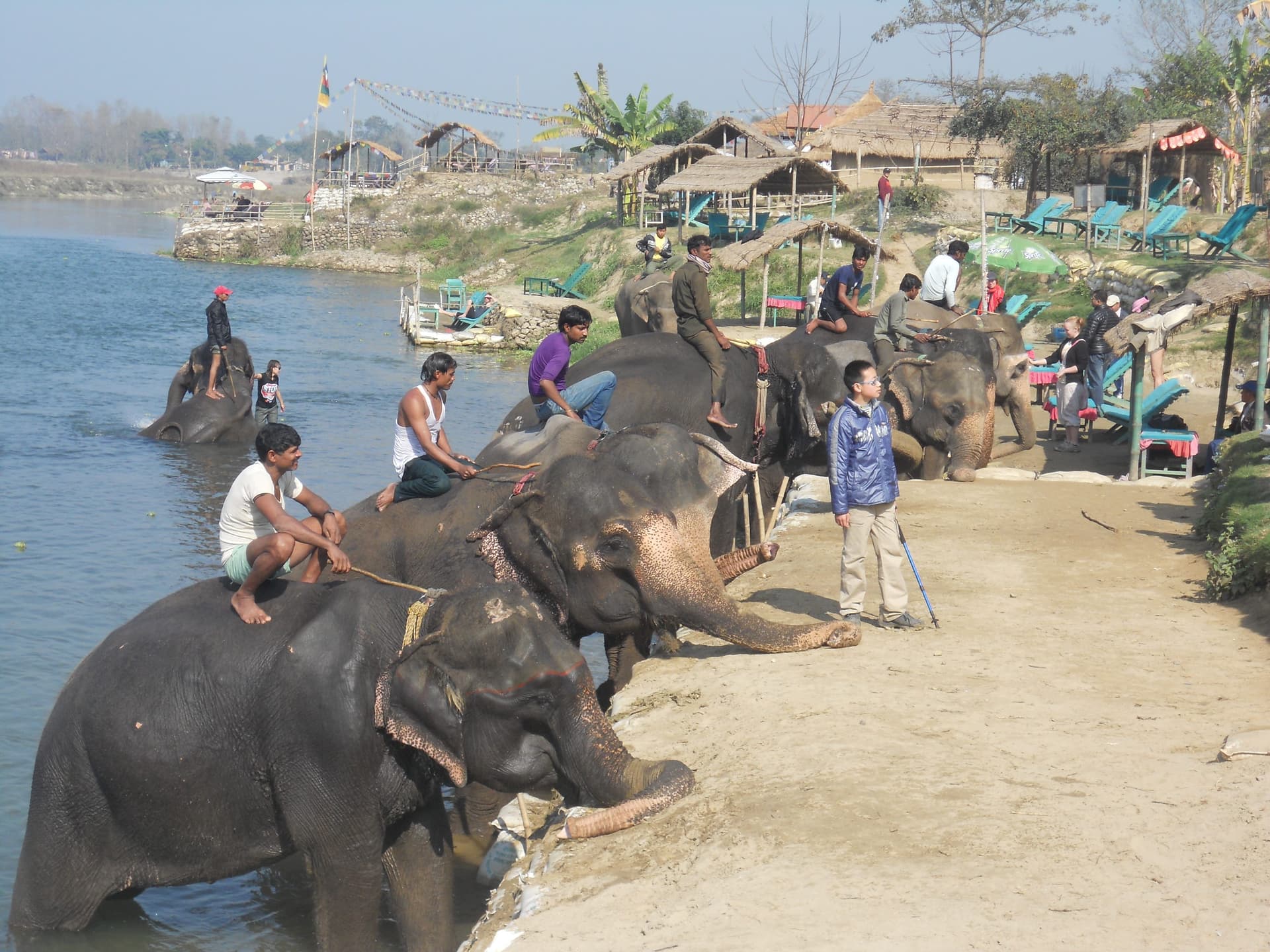 Chitwan tour
