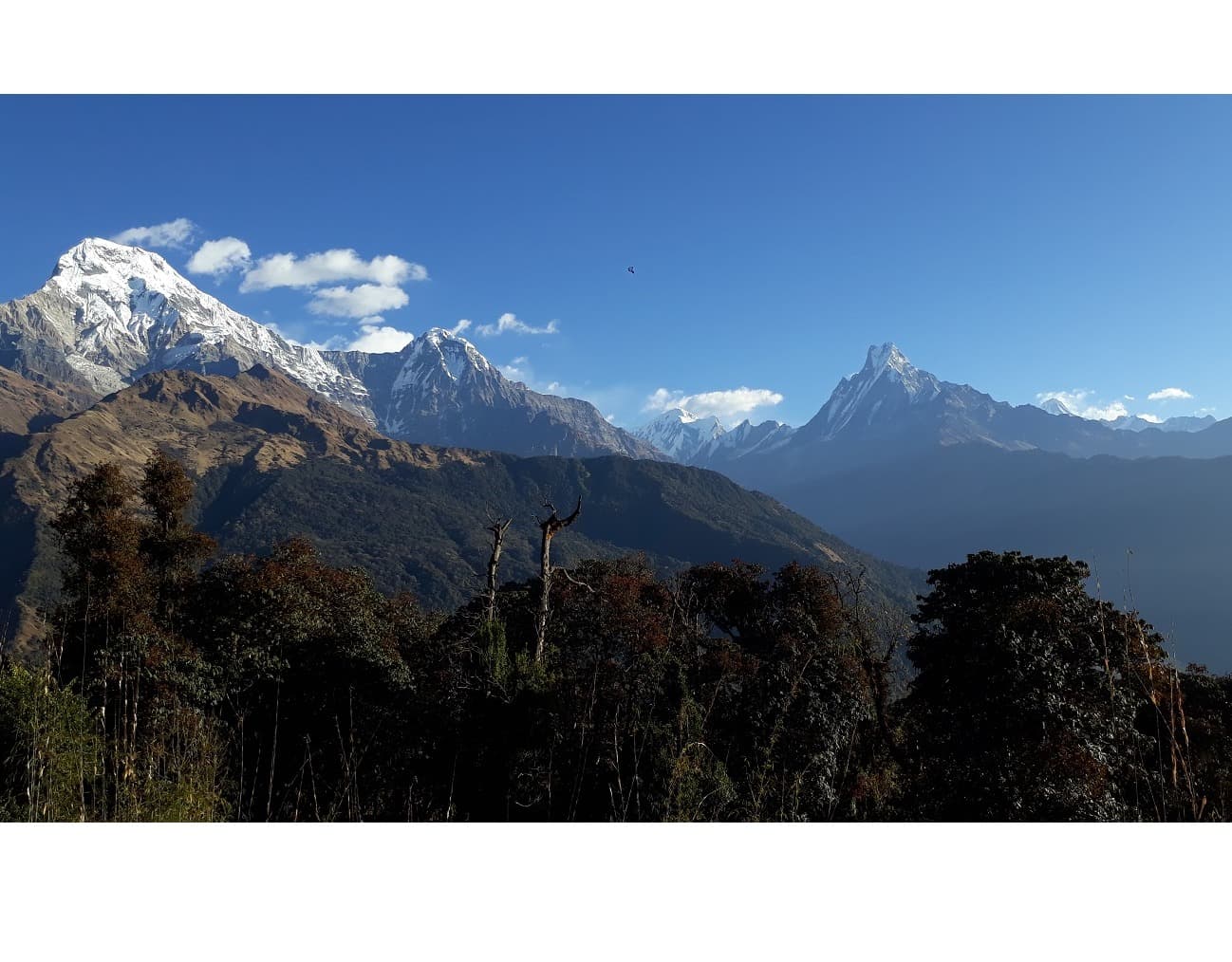 Annapurna View Trek