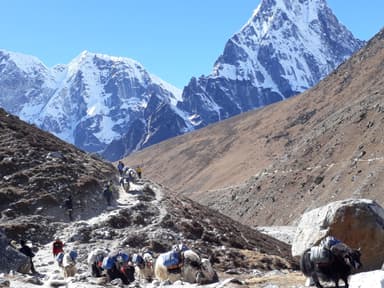 Labuche near everest base camp trek