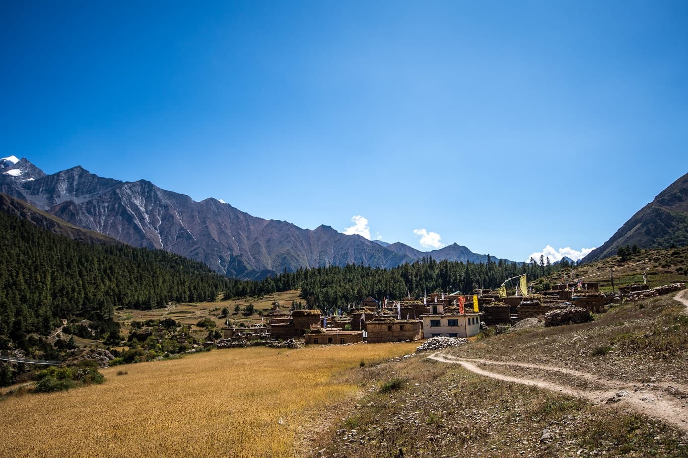 Upper dolpo