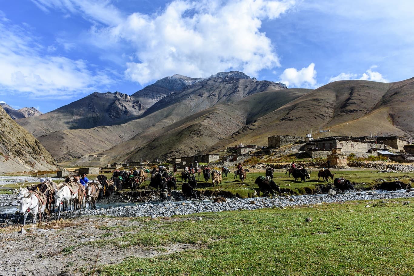 Lower dolpo trekking